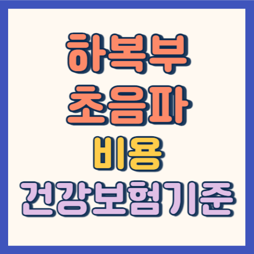 하복부 초음파 비용 건강보험기준